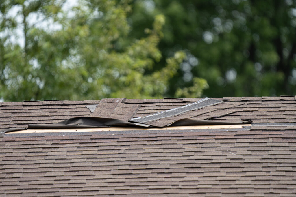 roof repair